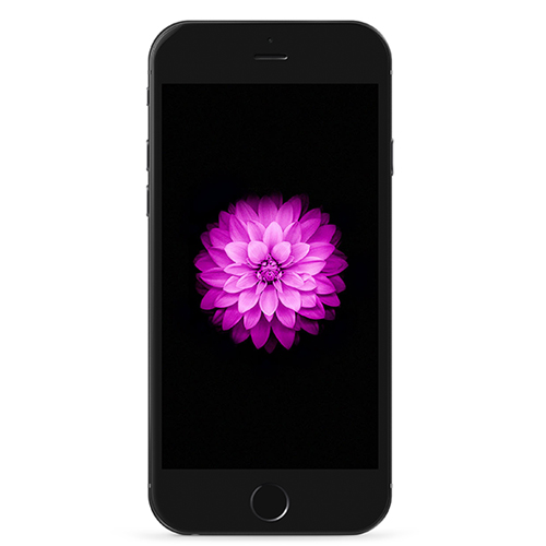 اپل آیفون 6
